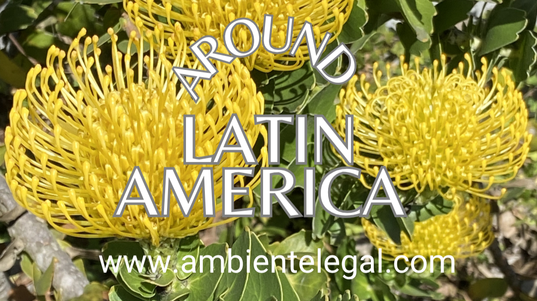 LATAM REACH, Chemical Precursors, EPR for Textiles, CMR Restrictions, Medical Devices, Repellents, Market Access